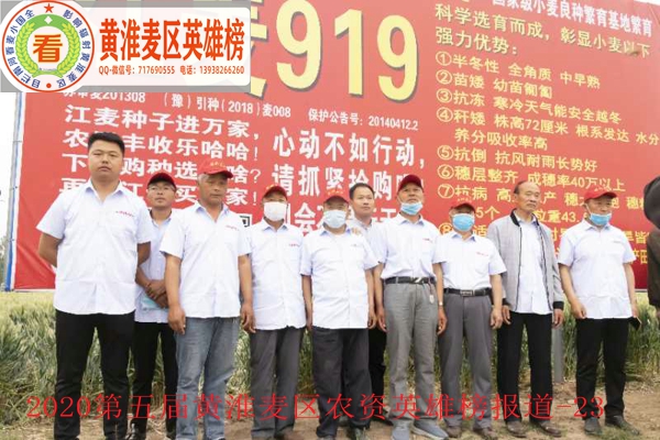 图3-国审江麦186受到黄淮麦区种业界代表踊跃观摩.jpg