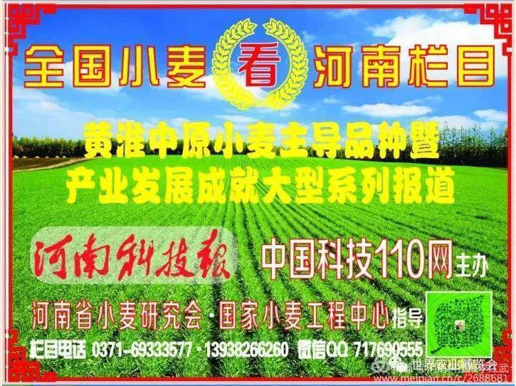 QQ截图20200503-黄淮麦区英雄榜--图标3.png QQ截图20200503-黄淮麦区英雄榜--图标3.png