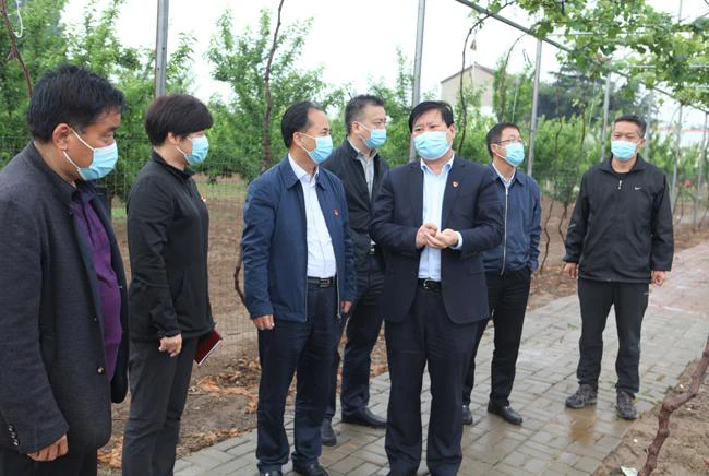5月9日下午，郑州市教育局党组书记、局长王中立一行来到新郑市辛店镇王庄村，调研王庄村脱贫攻坚工作.png