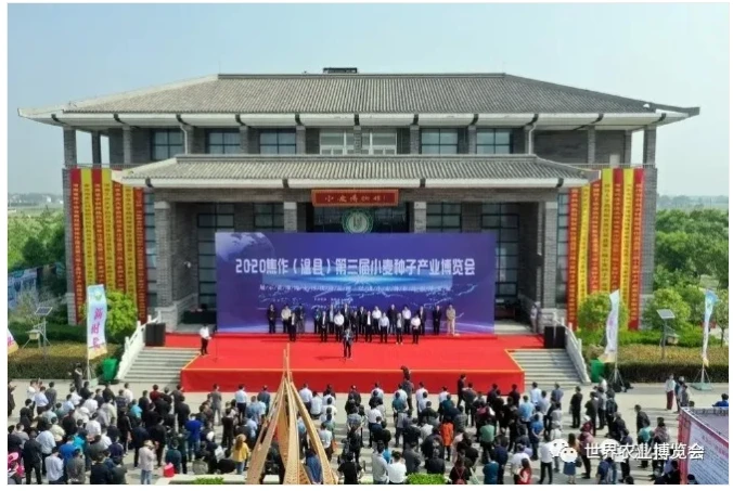 QQ截图20201019222240.png QQ截图20201019222240.png