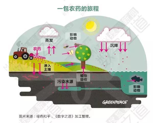 化学农药--13.jpg