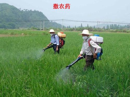 化学农药---6.jpg